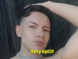 Harry_big029