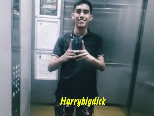 Harrybigdick