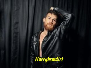 Harrybsmdirt
