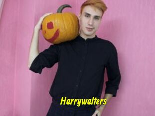 Harrywalters