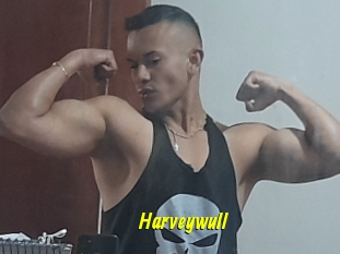 Harveywull
