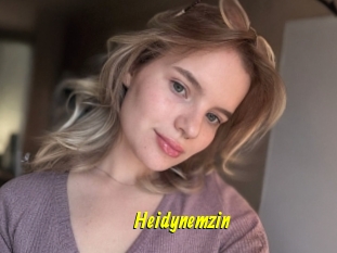 Heidynemzin