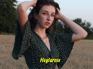 Heylarose