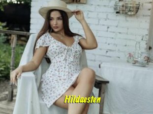 Hildaesten