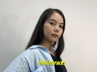 Hollisbrucks