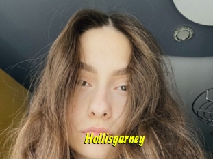 Hollisgarney