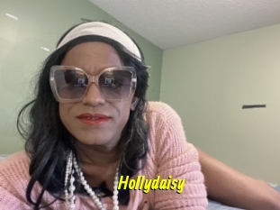 Hollydaisy