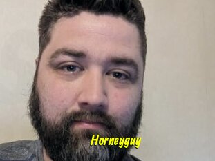 Horneyguy