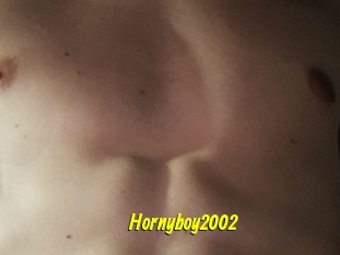 Hornyboy2002