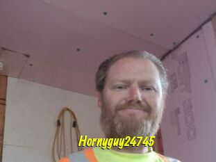Hornyguy24745