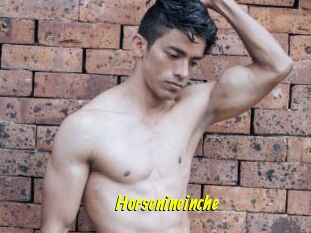 Horsenineinche