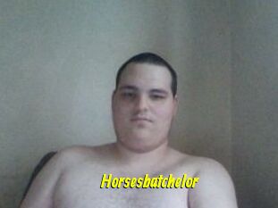 Horsesbatchelor