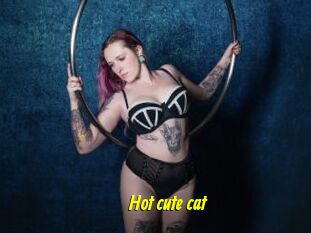 Hot_cute_cat