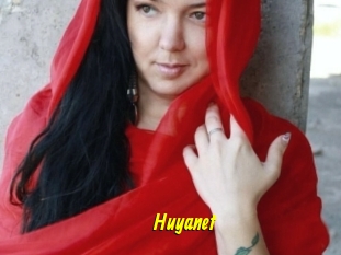 Huyanet
