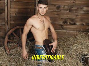 INDEFATIGABLE