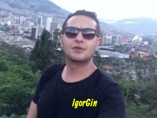 IgorGin