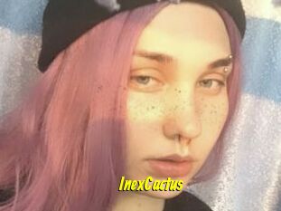 InexCactus