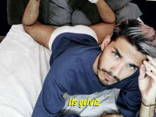 Its_gelviz