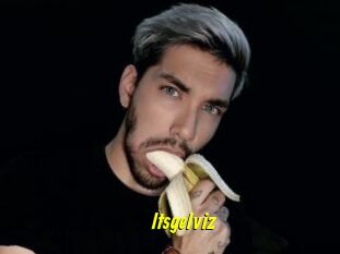 Itsgelviz