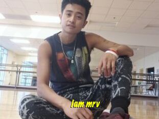 Iam_mrv