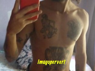 Imagopervert