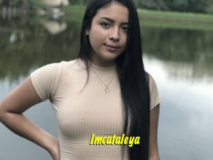 Imcataleya