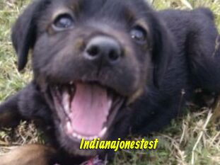 Indianajonestest