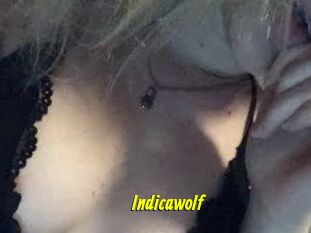Indicawolf