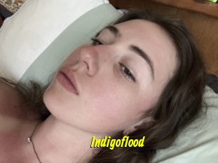 Indigoflood