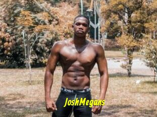 JoshMegans