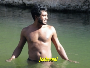 Joebernal