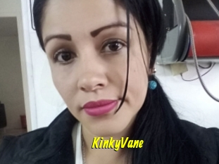 KinkyVane