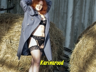 Karinarood