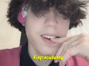 Kingsnowbunny