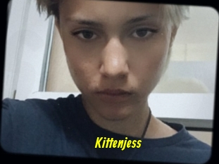 Kittenjess