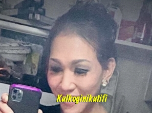 Kulkoginikutifi