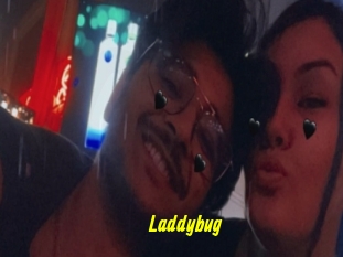 Laddybug