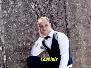 Laukinis