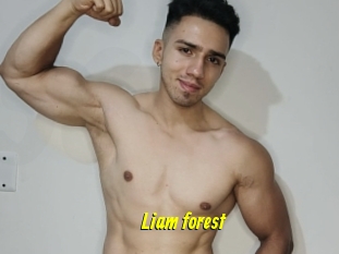 Liam_forest