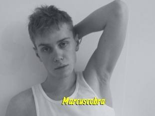 Marcuscobra