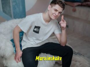 Marvinshake