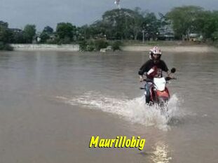 Maurillobig