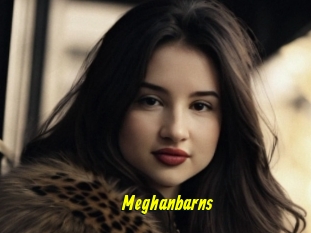 Meghanbarns