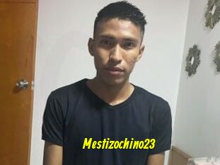 Mestizochino23