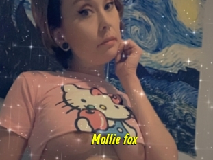 Mollie_fox