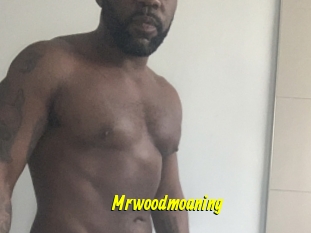 Mrwoodmoaning