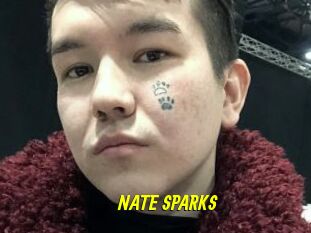 NATE_SPARKS