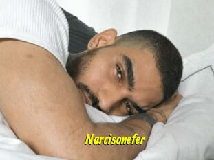 Narcisonefer