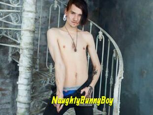 NaughtyBunnyBoy