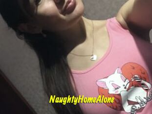 NaughtyHomeAlone